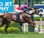 Trafalgar Legacy<br>Photo by Singapore Turf Club